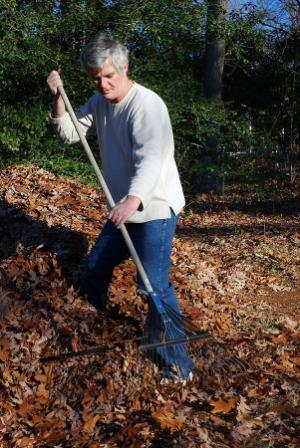 man racking leaves